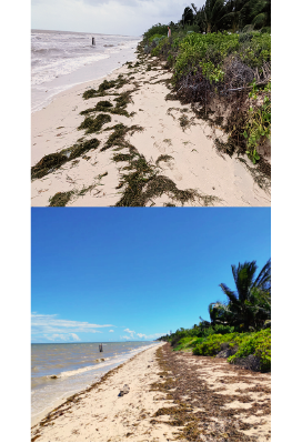 Sand comparison before and after reef implementation.
